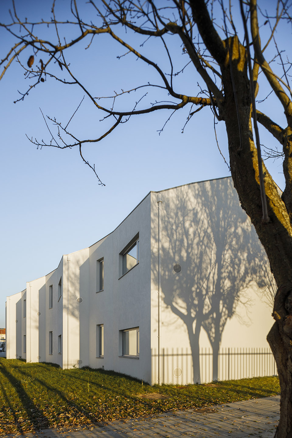 São Bernardo 小学丨葡萄牙丨ARTE TECTóNiCA-94