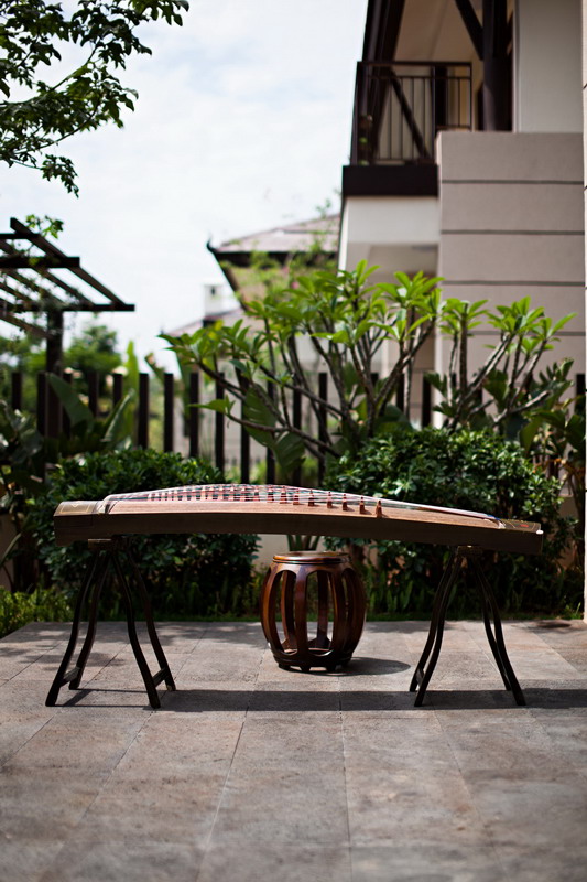 雅居乐 西双版纳州 嘎洒镇 西双林语 A2a-6