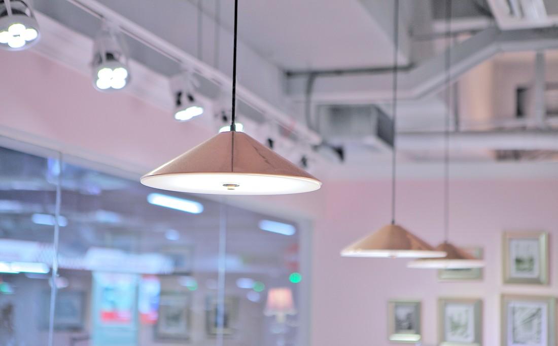 
IN99宠物店 盼宝国际宠物会所 -6