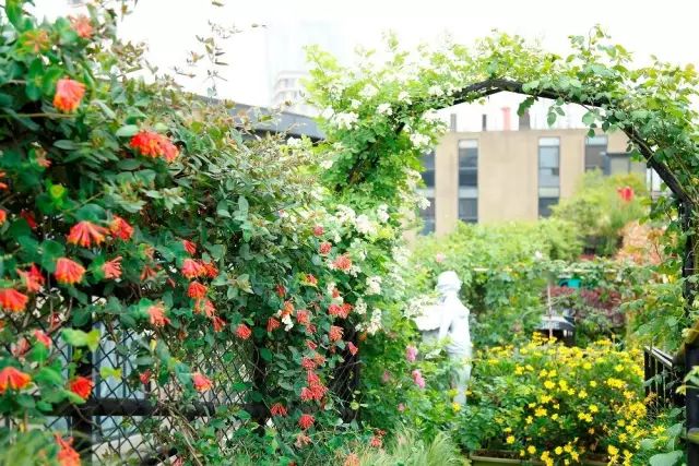 火遍魔都超700㎡网红花园，看过的人都被圈粉-140