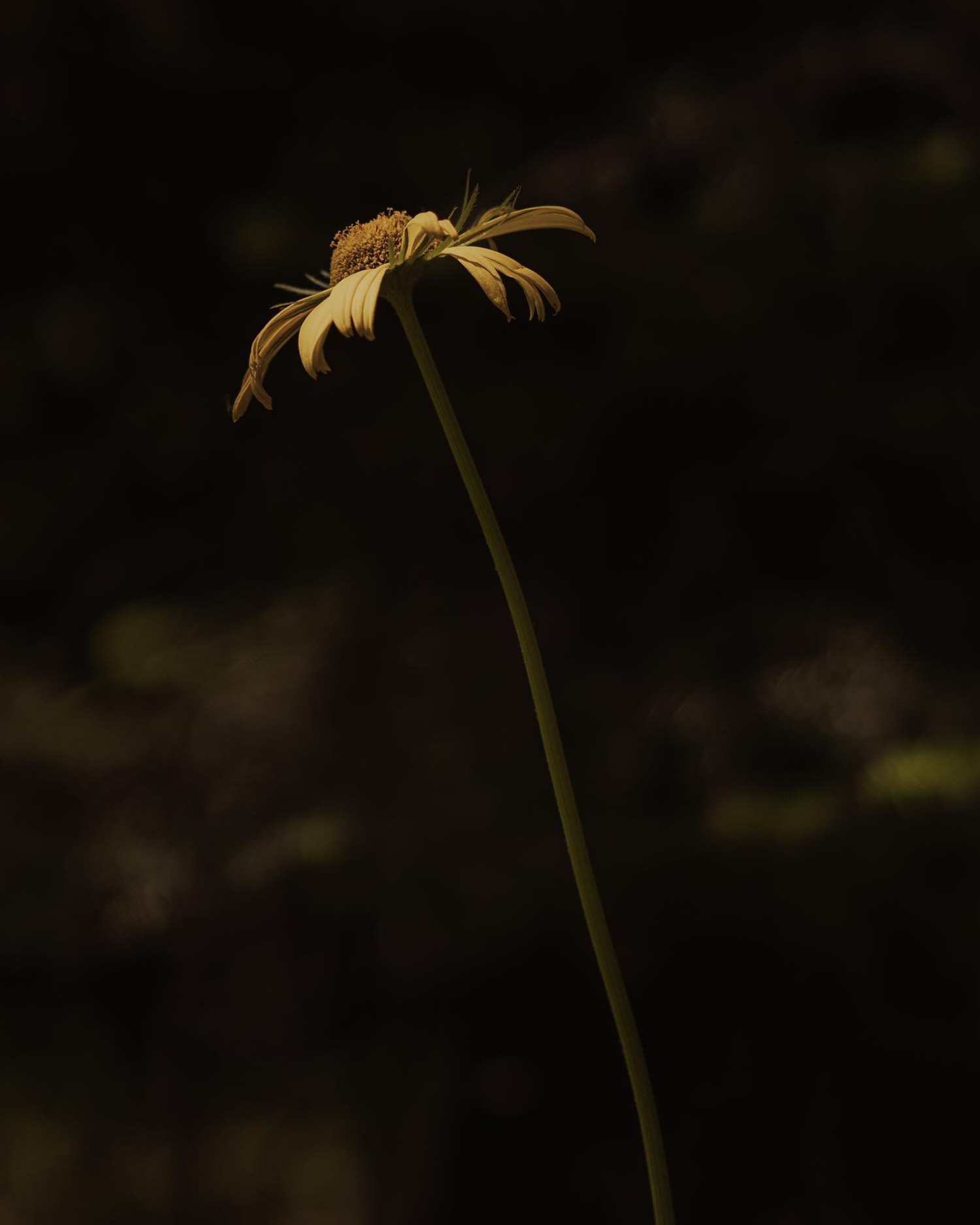 MANNA 酒店丨希腊丨KStudio-82