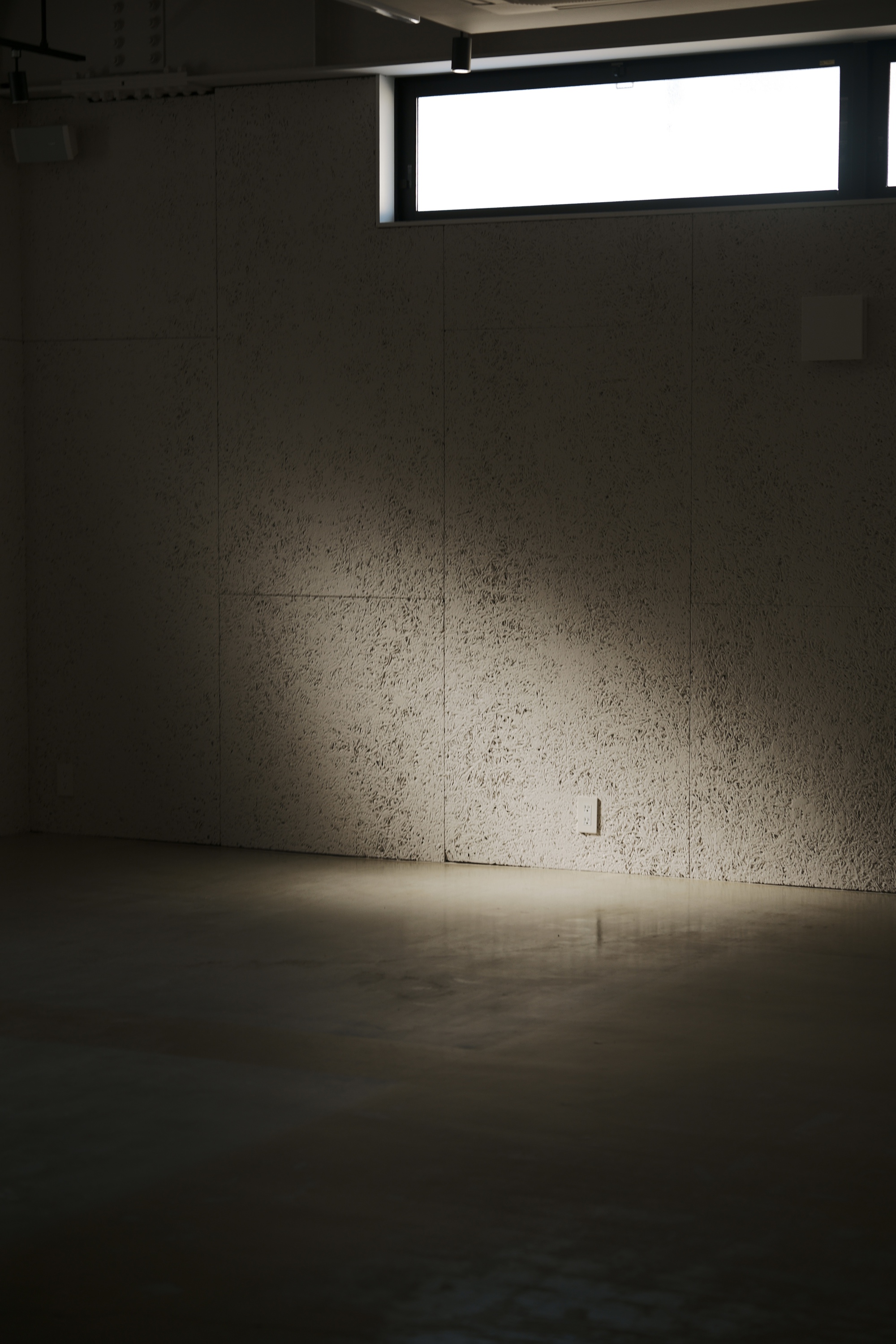 丨日本丨moss.-24