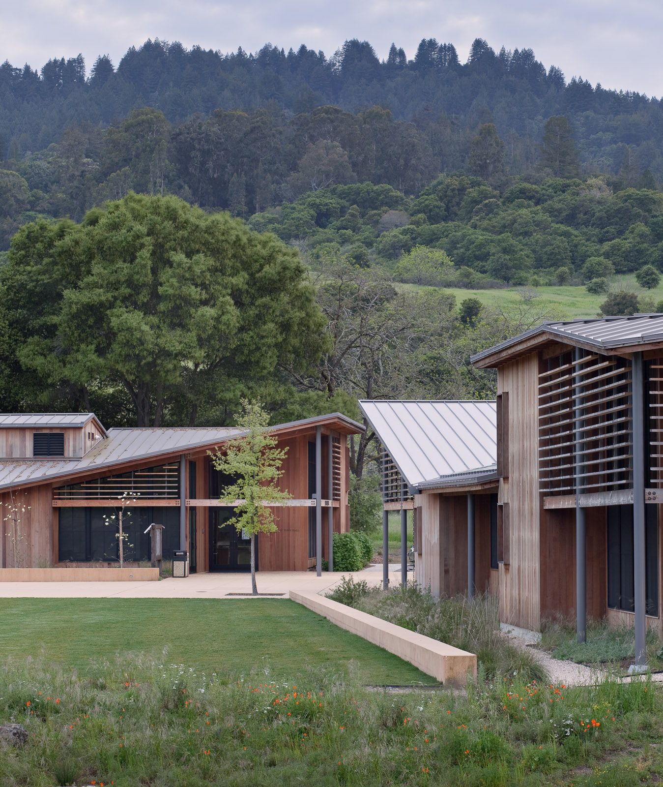 博特莱野奢小镇中心景观 portola town center by Lutsko Associates Landscape-6