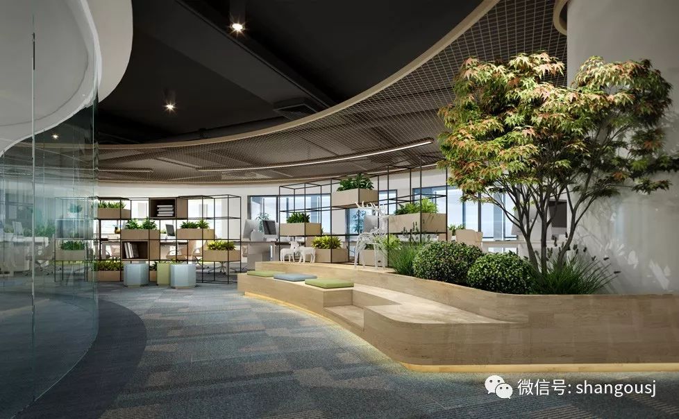 大学资产经营办公项目 | 感官体验式绿色办公空间-47