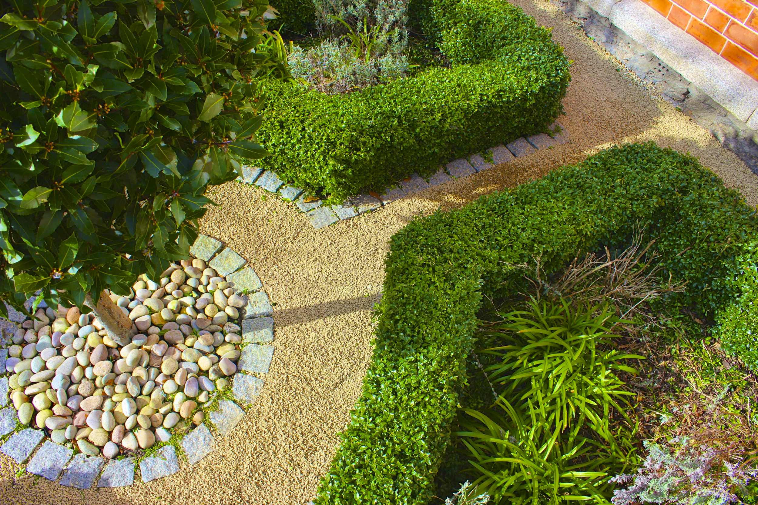 前花园花坛丨IrelandDublin-61