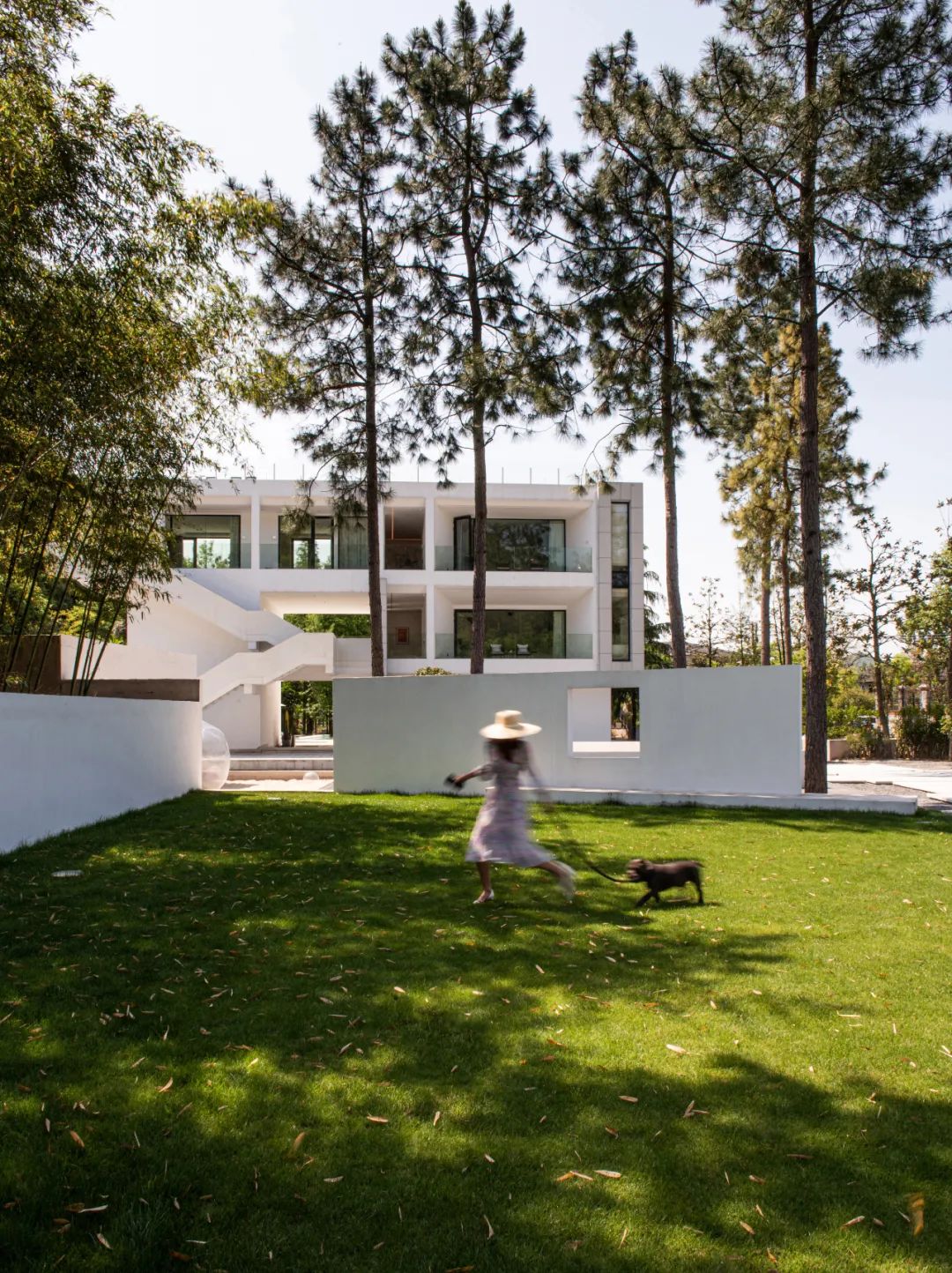 莫干山秘境杉林,尽享自然之美-0