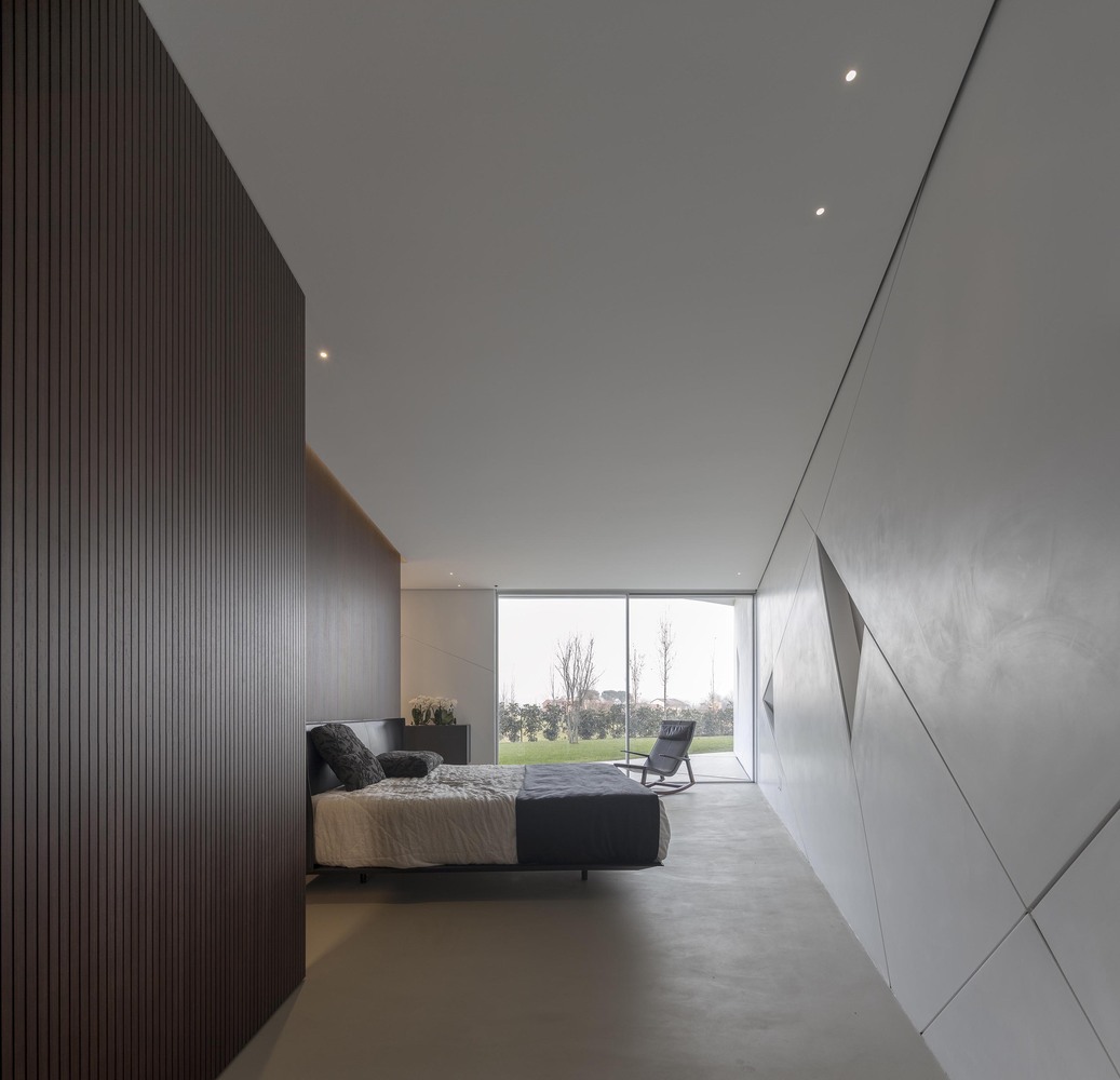 Diamond Tree（钻石树）-59