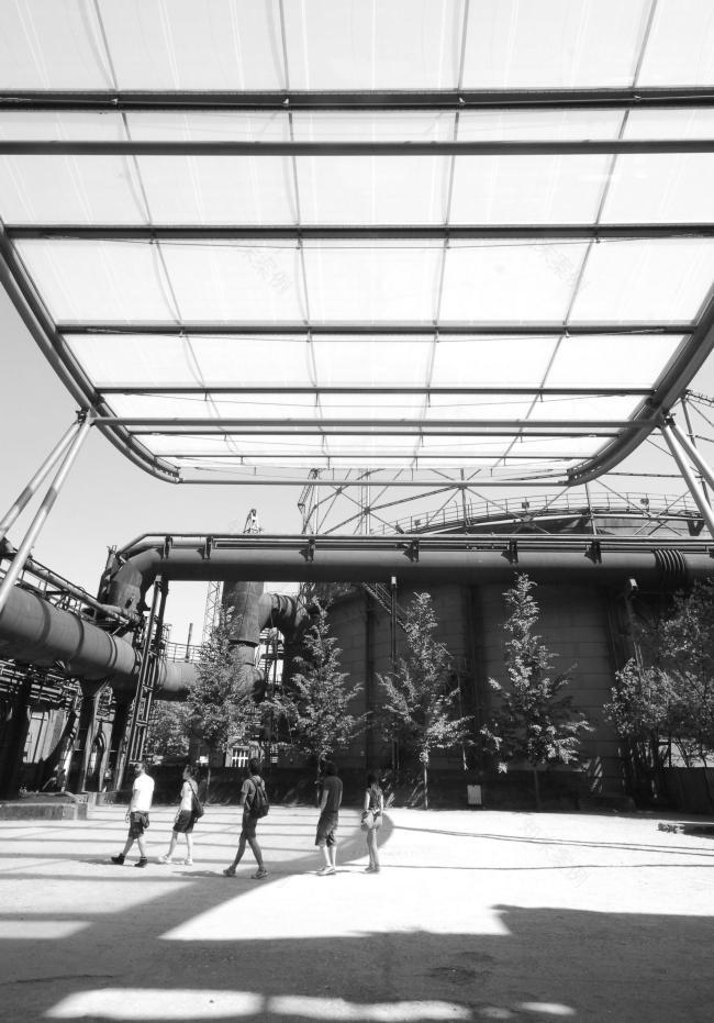 “老虎与乌龟”丨德国丨德国艺术家乌尔里希·根茨和海克·穆特-64