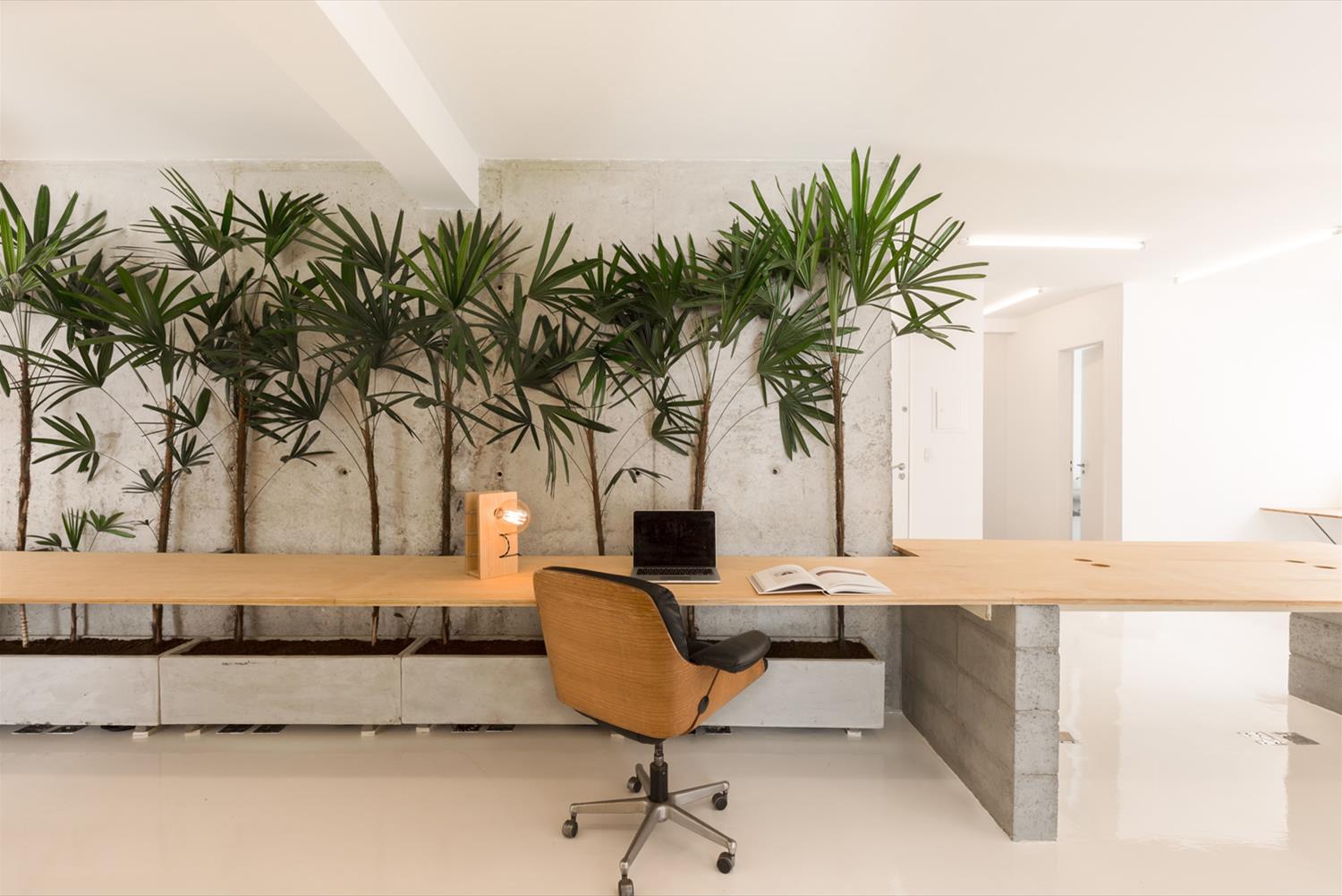 巴西 AE.digital 办公室 | 混凝土、木头与砖头的创意组合-2