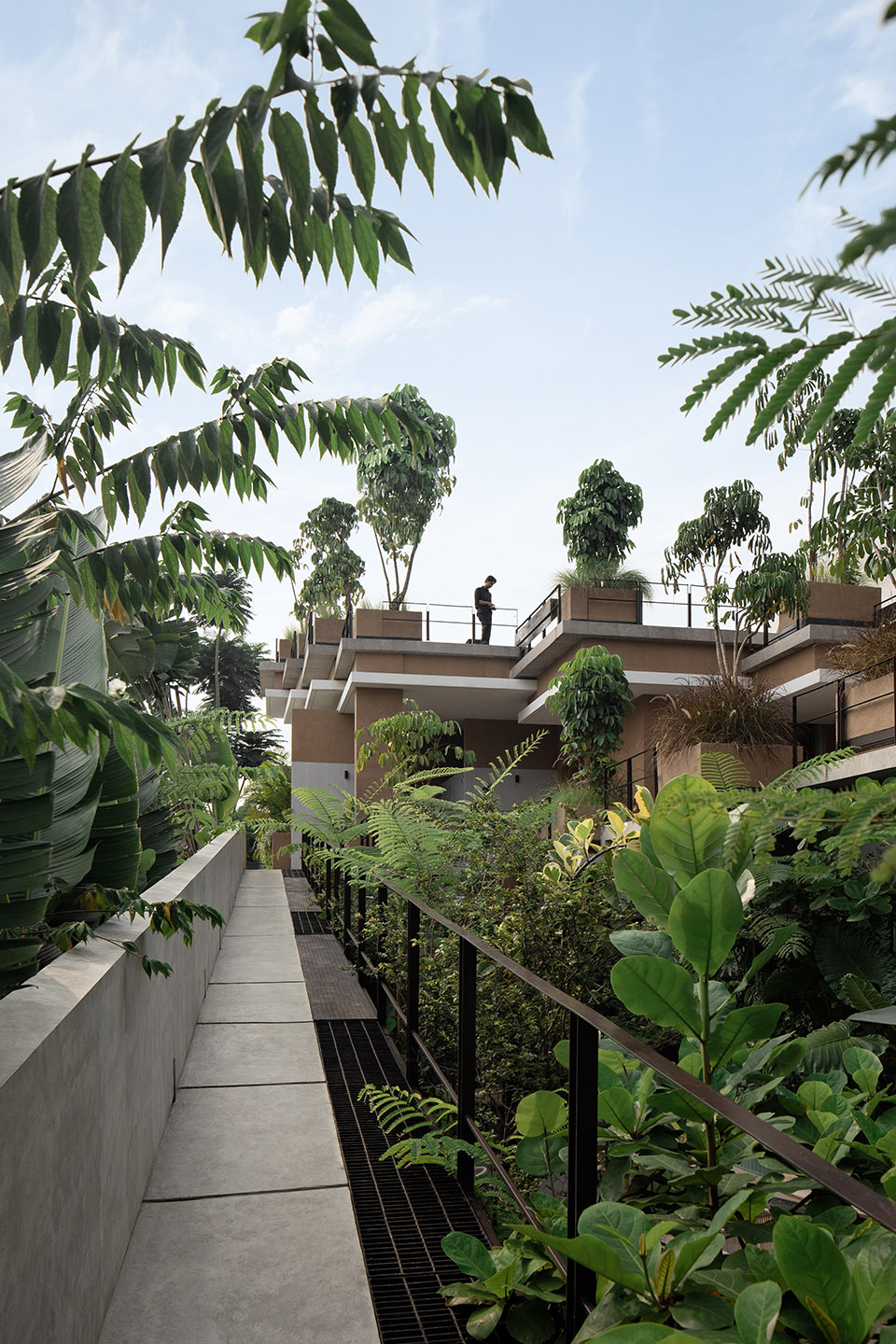 Aruma分层花园，雅加达 / RAD+ar -25