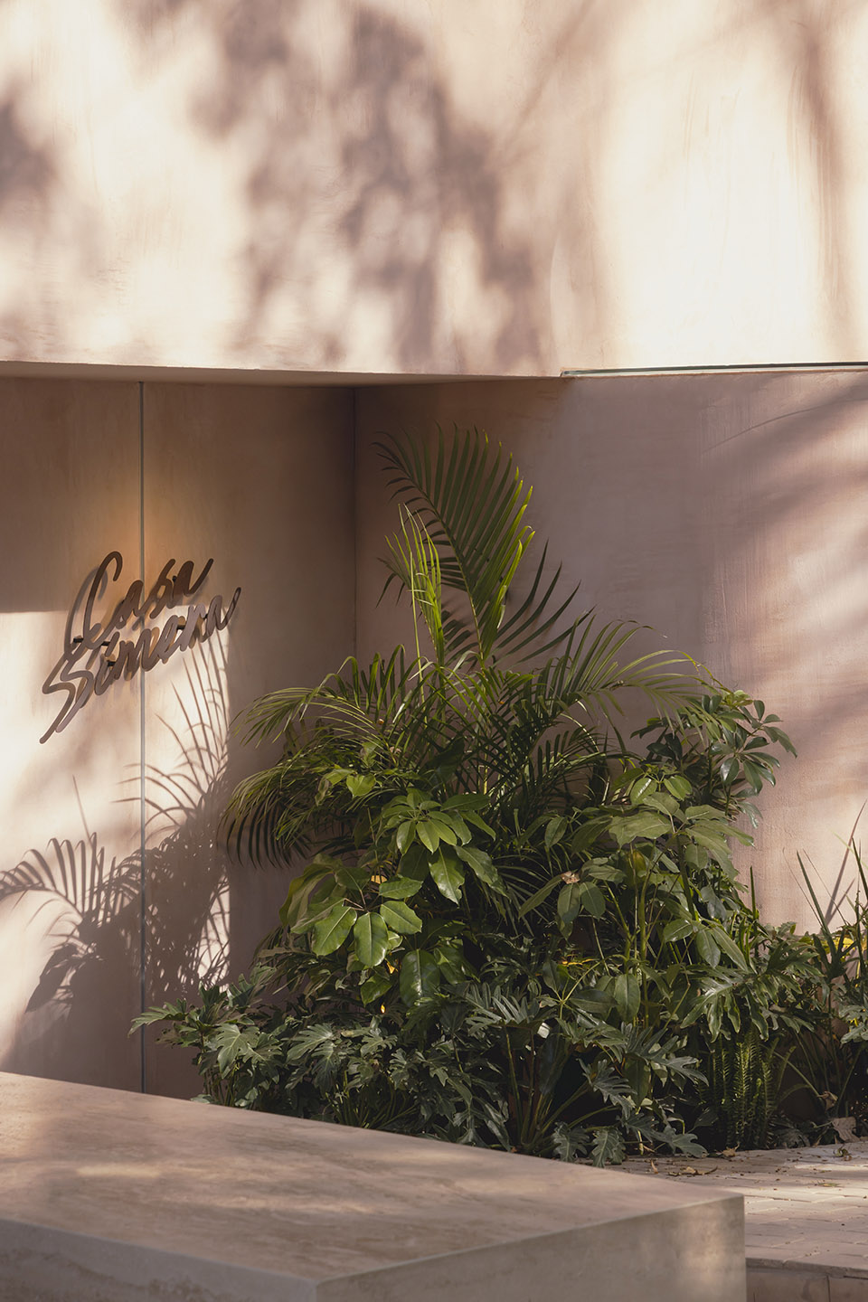 Casa Simera瑜伽馆及咖啡厅丨墨西哥墨西哥城-5