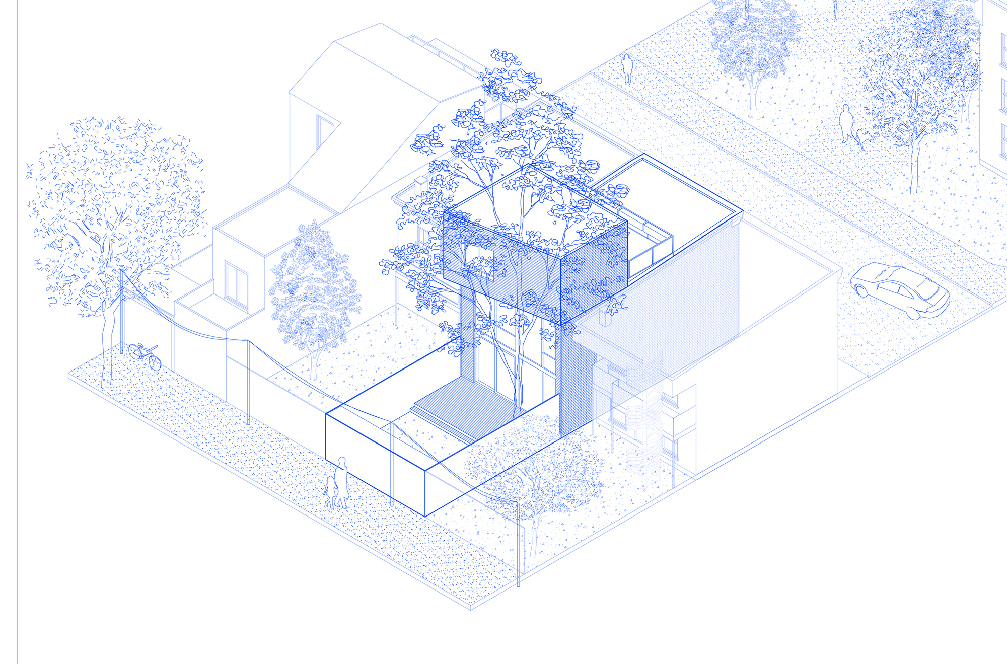 百年老屋与古树的共生对话-3