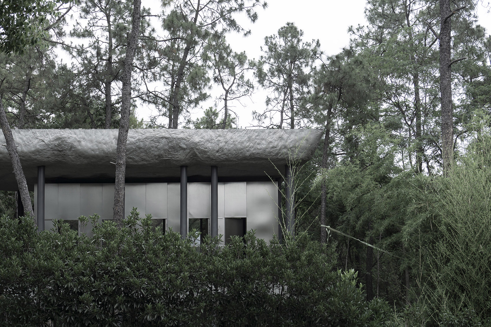 谷里的窗,树上的云,南京四方艺术湖区公共卫生间丨中国南京丨南京大学建筑规划设计研究院有限公司 物物建筑-138