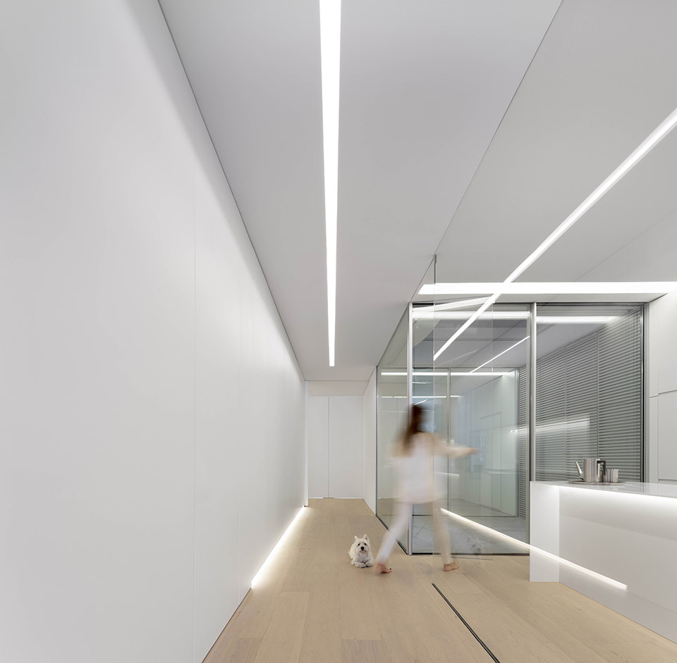 蓝色花园住宅，西班牙 / Fran Silvestre Arquitectos-24