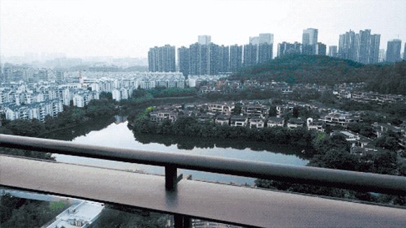 他在20楼挖池塘、造园子丨把家改成空中花园-4