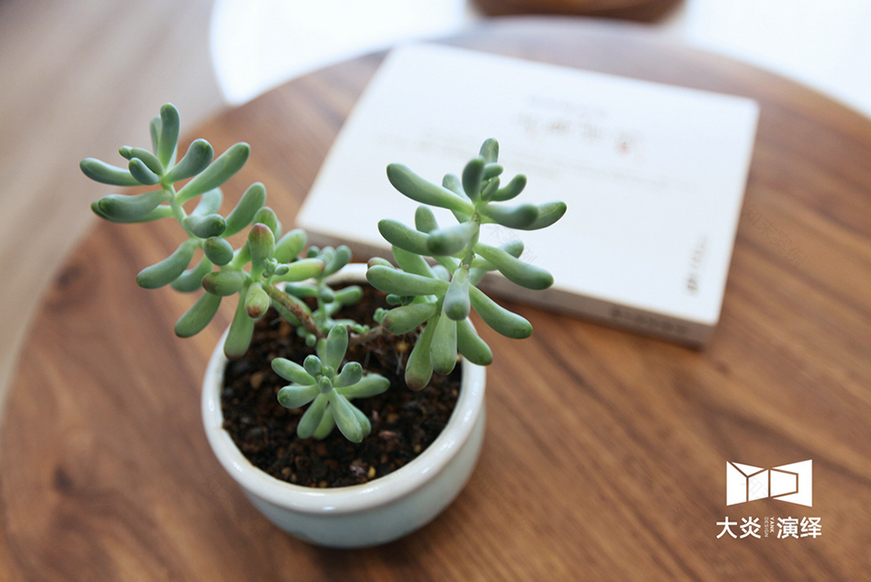 85 后 IT 男为爱妻打造北欧风文艺家居-0