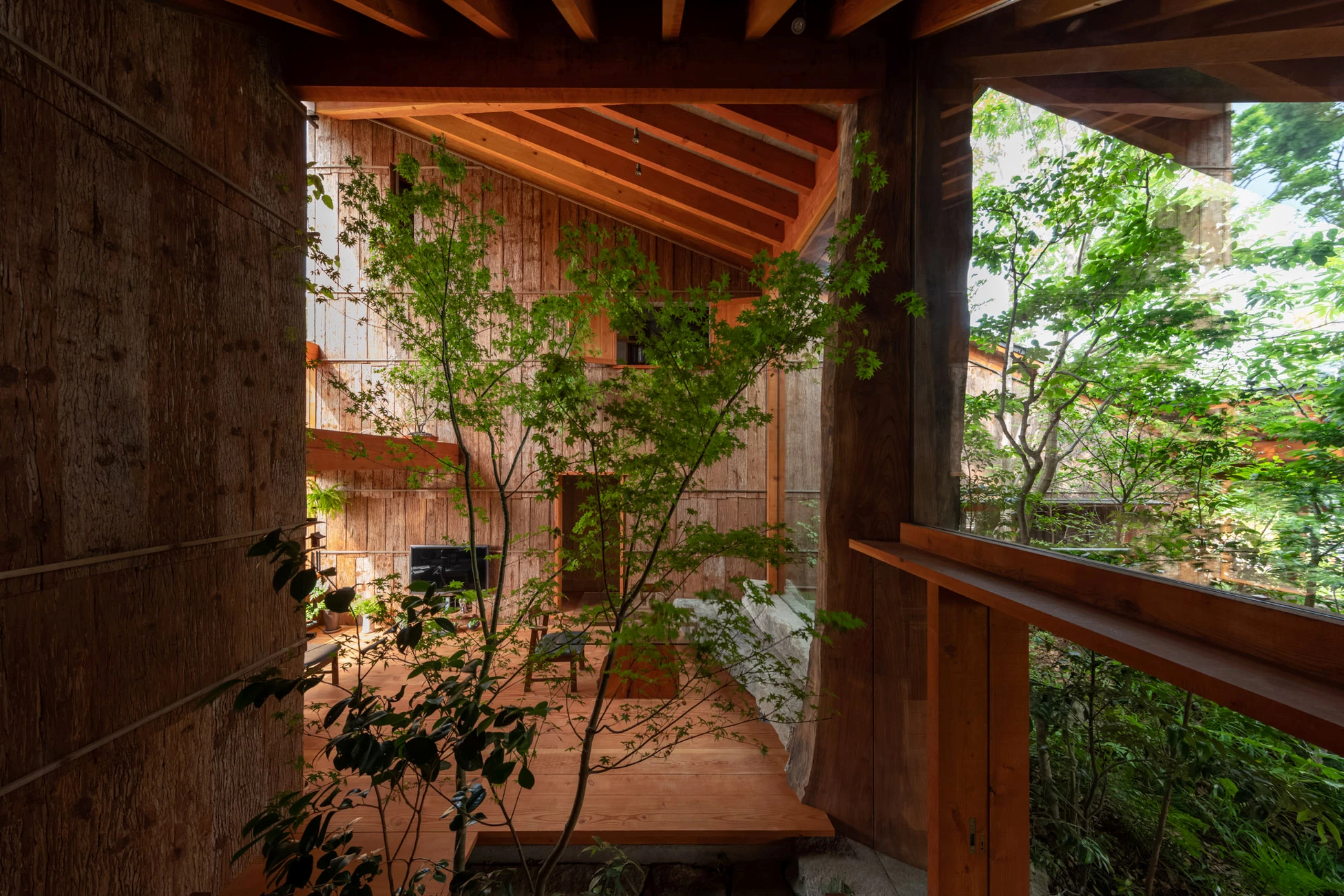 石头缝里的生机 · 大地之家的绿色创新设计-31