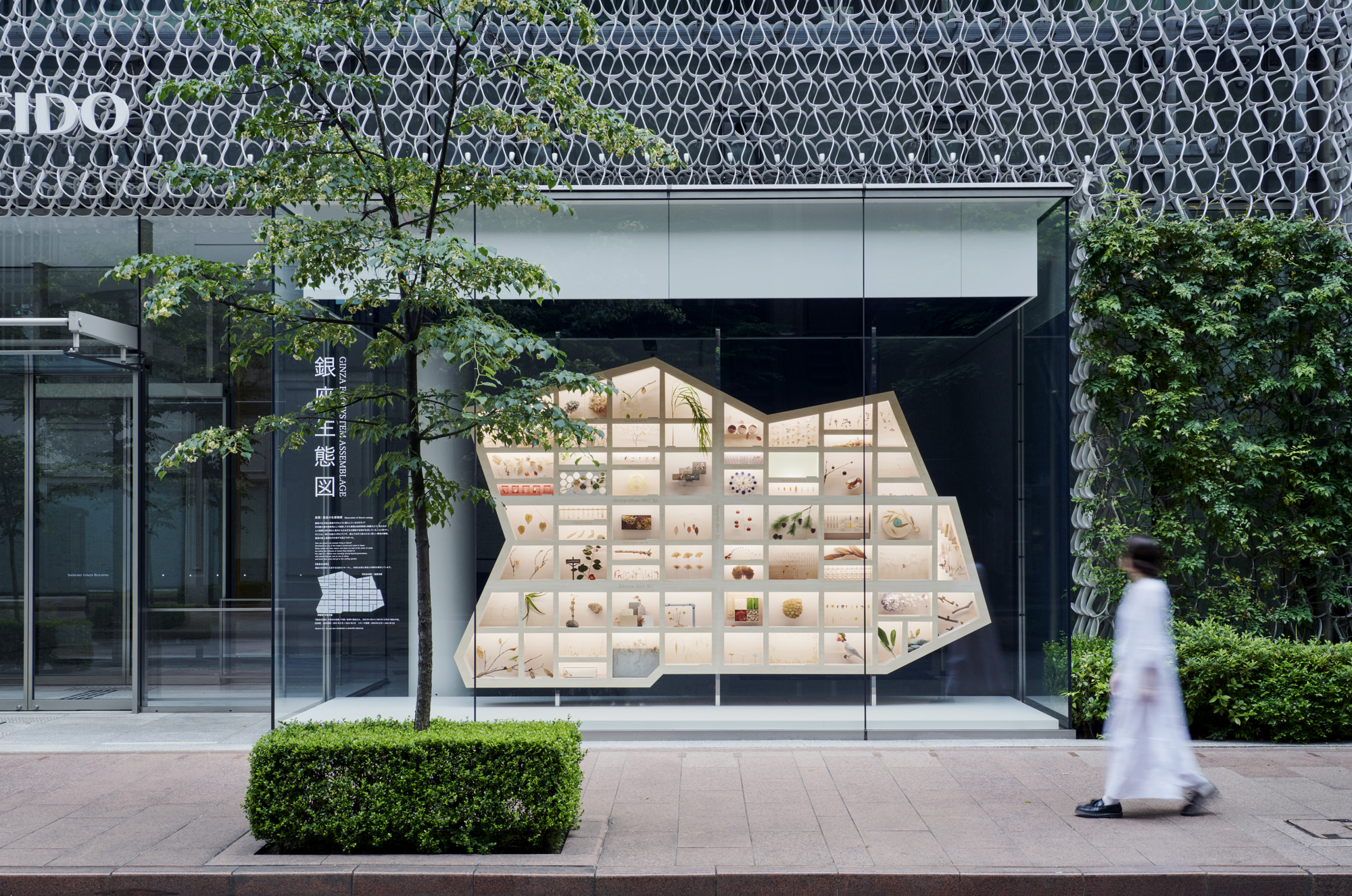 银座生态地图丨JapanTokyo丨Hakuten Corporation-24