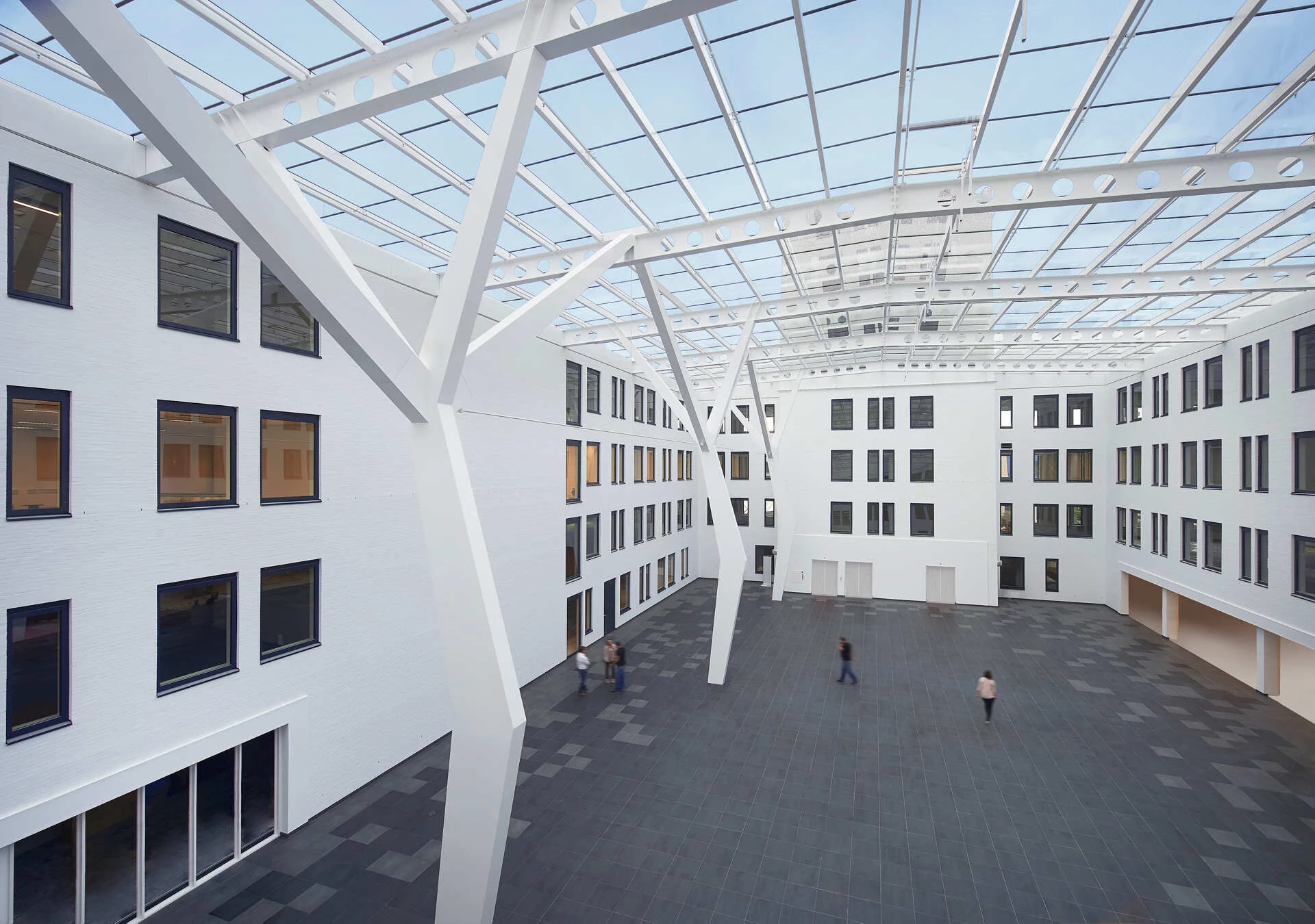 荷兰商务科技创新中心丨Mosa-13