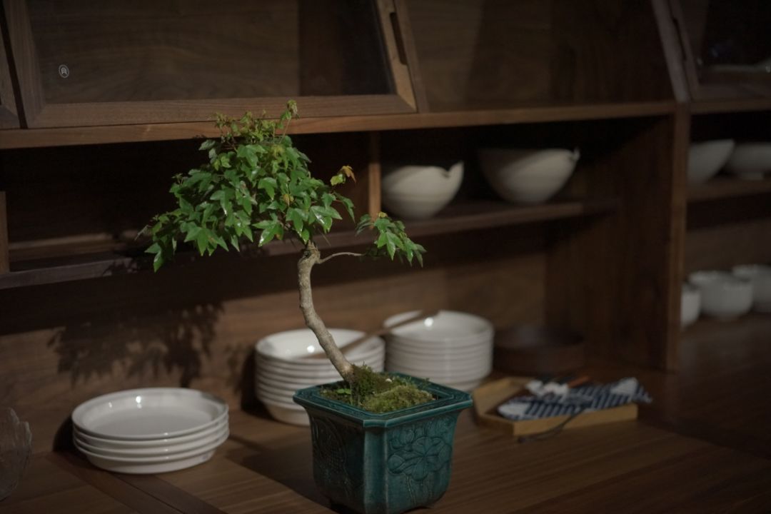 夏日茶室 | 绿色与自然的完美融合-18