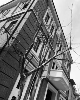 琥珀大楼大堂及公共区改造设计丨上海境物建筑设计咨询有限公司
