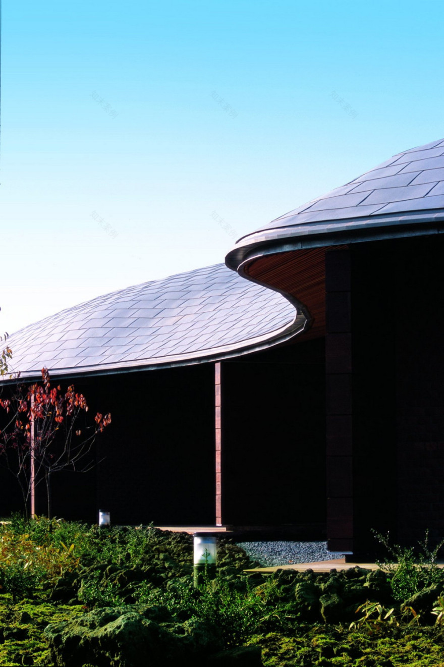 济州岛葡萄酒店-4