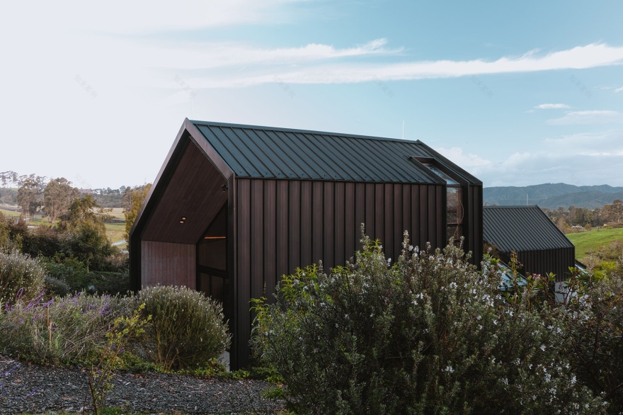 哥伦比亚 KRUPPA 住宅丨Capa Arquitectura-11