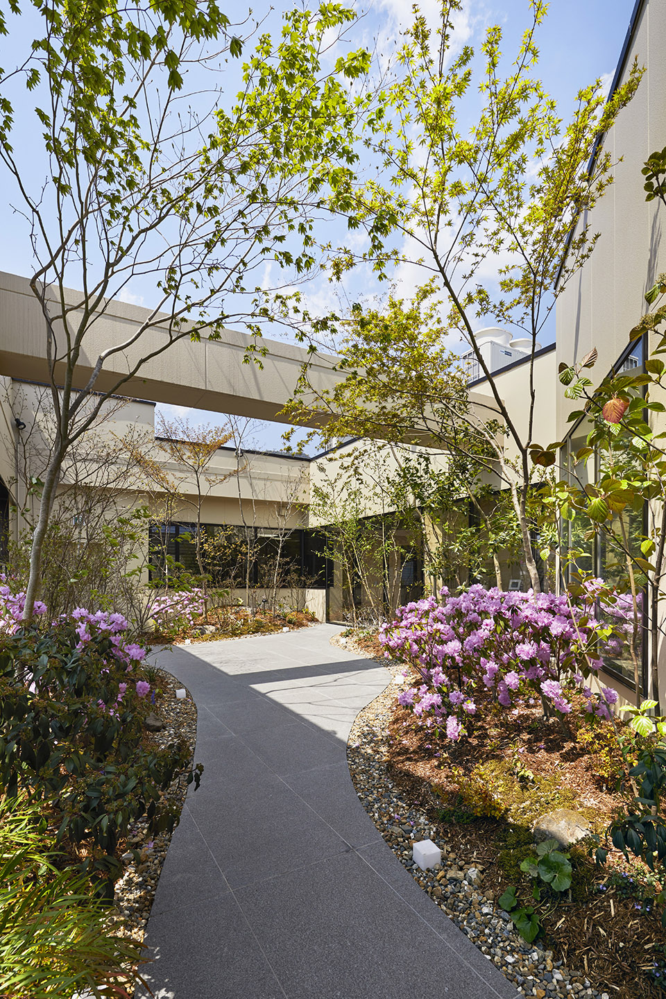 日本 SASAKI 脊柱诊所丨UID – Keisuke Maeda-7