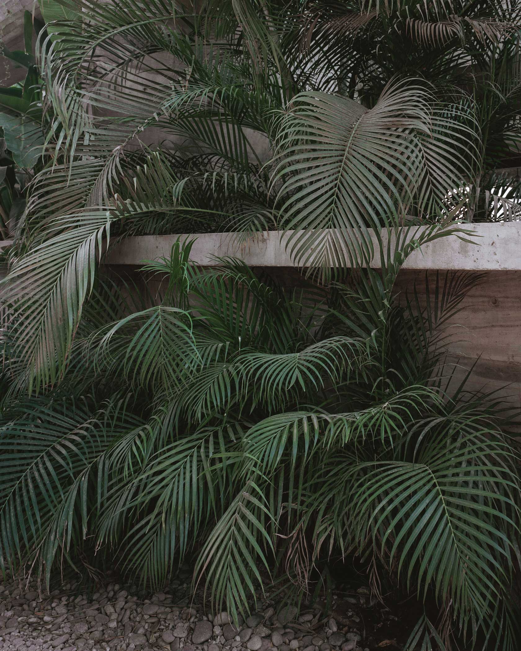 Casa TO 精品酒店丨墨西哥丨Ludwig Godefroy-5