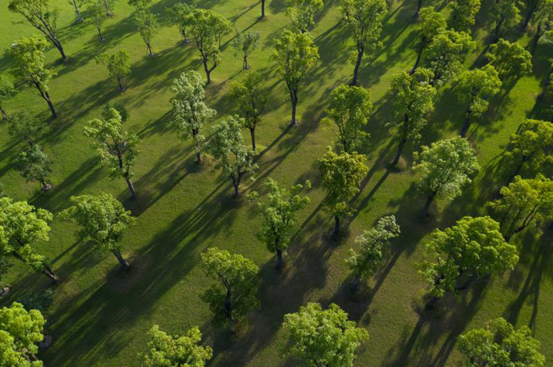 上海养云安缦社区-16