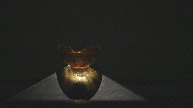 深圳天元珍庭潮州餐厅丨中国深圳丨水平线设计-56