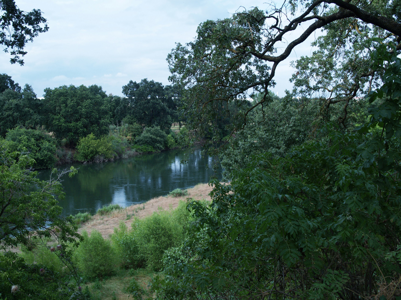 丨美国加利福尼亚丨Wendell Burnette Architects-4