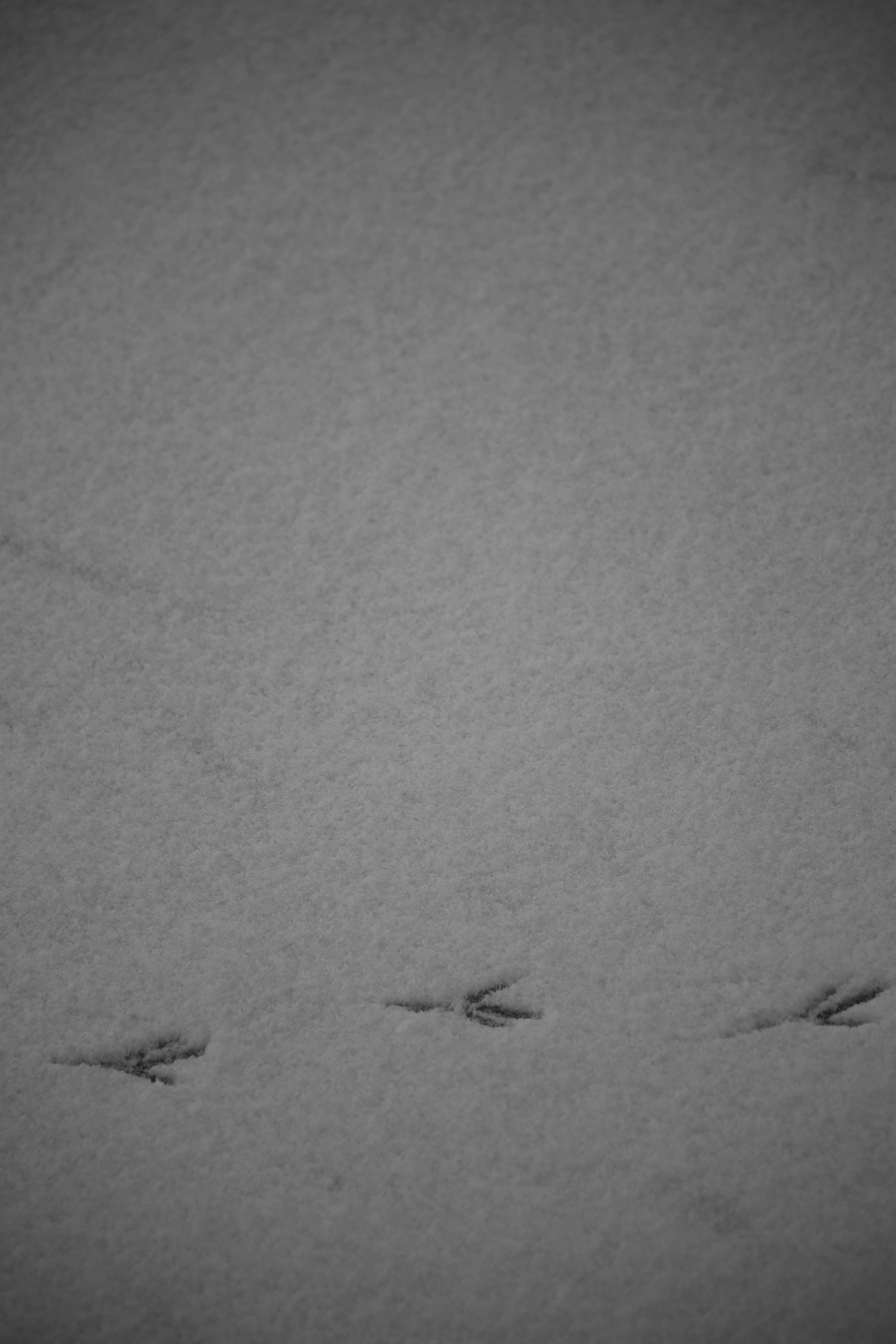 A Winter's Day（冬日）-10