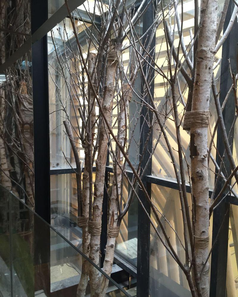 新华书店-仿真植物-5