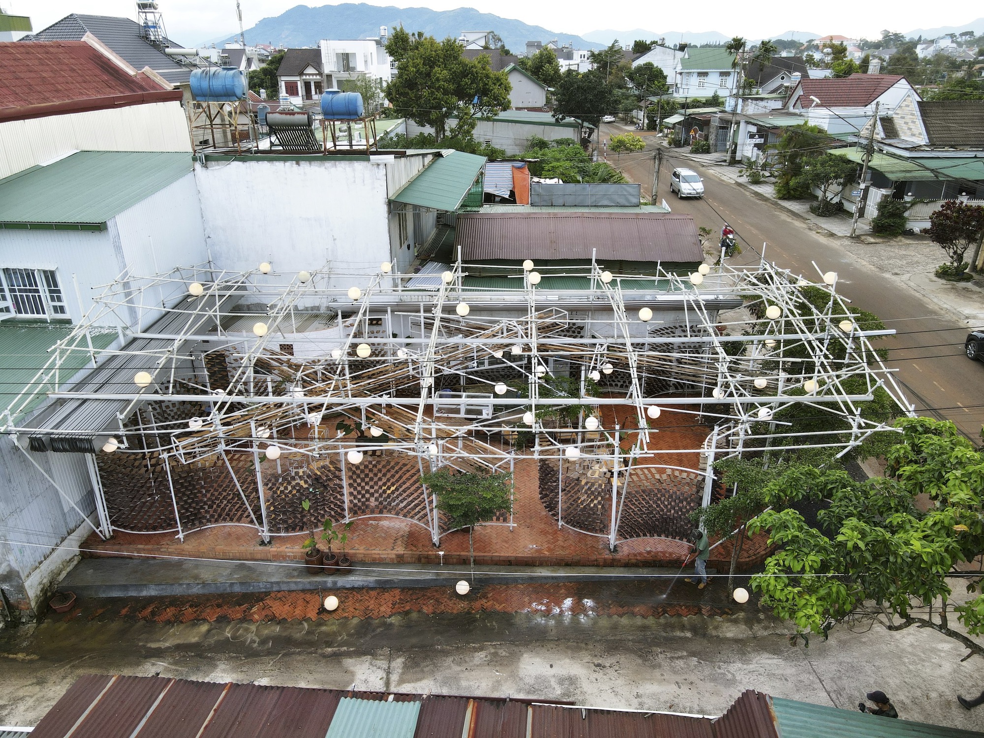 采茶，开花丨越南-12