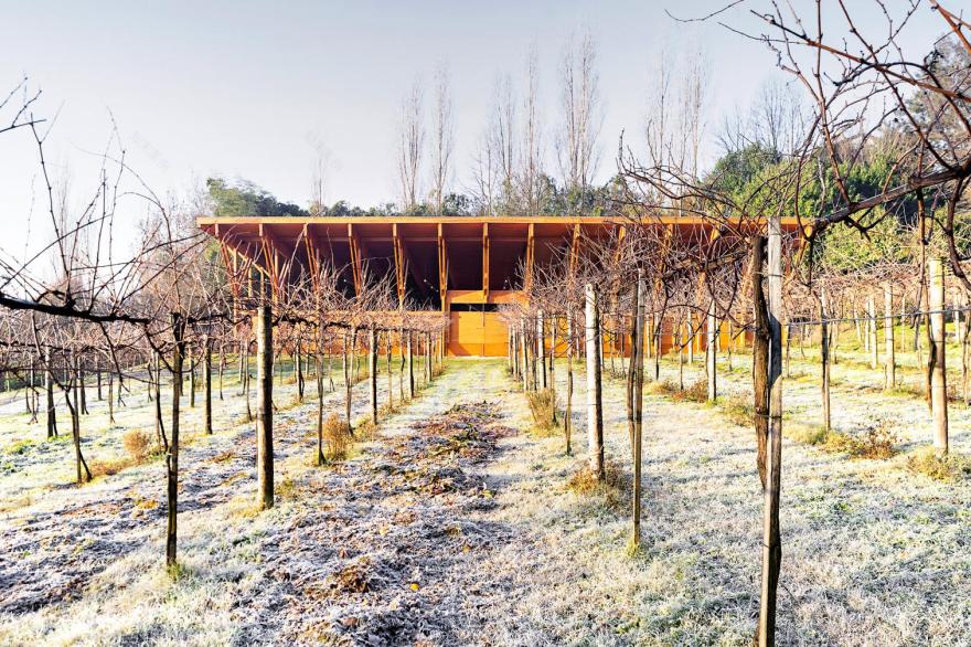 葡萄牙 São Cosme do Vale 马术学校丨Visioarq Arquitectos-9