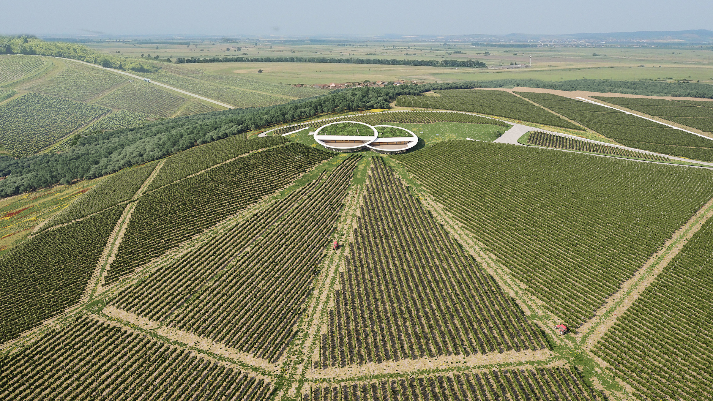 精灵之眼，索斯卡酒庄设计 / Homologue Studio-2