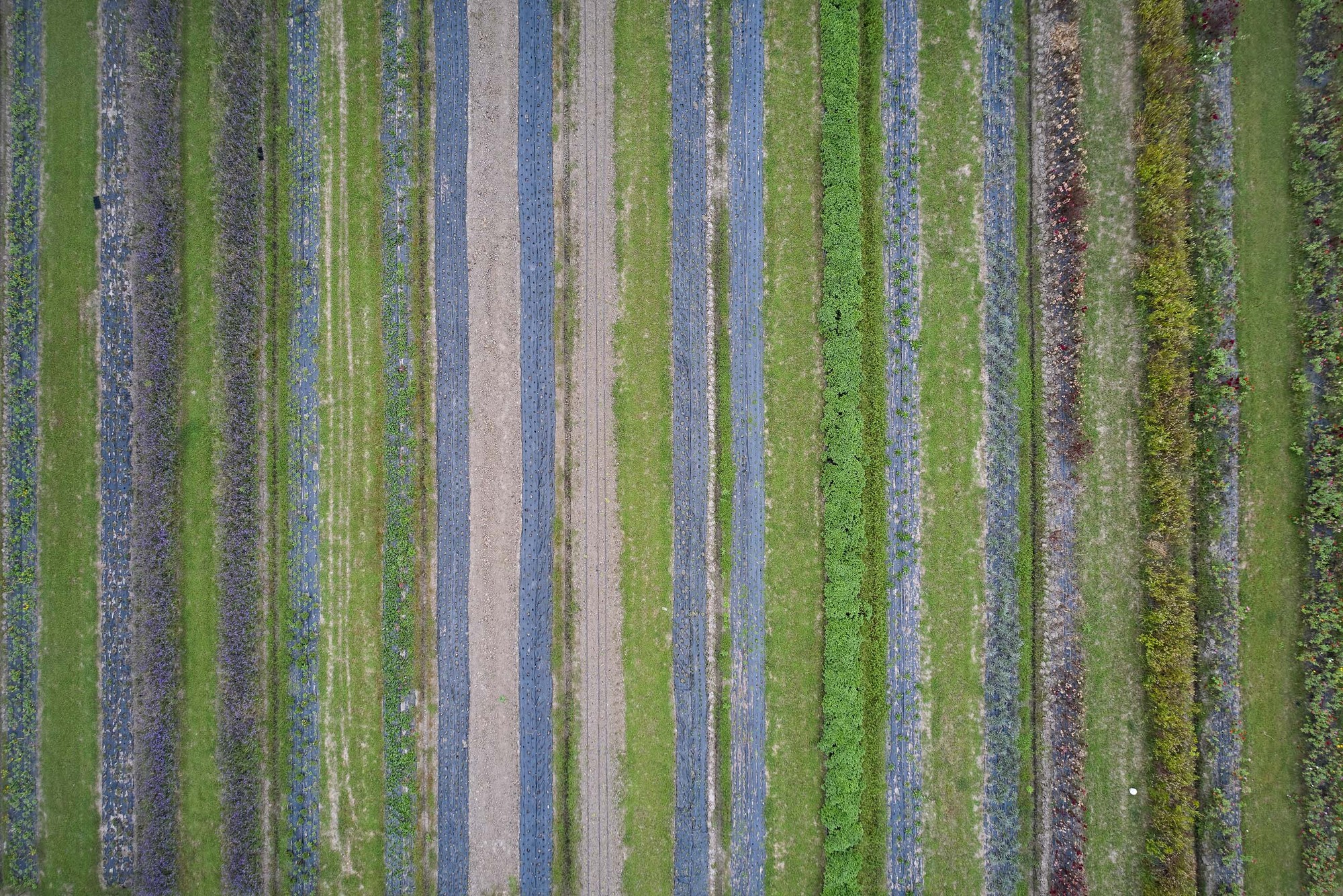 Næra Hotel 新型鸡舍设计丨Leeko Studio-37