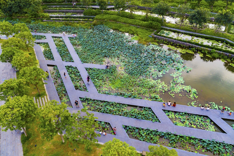 美舍河凤翔公园-28