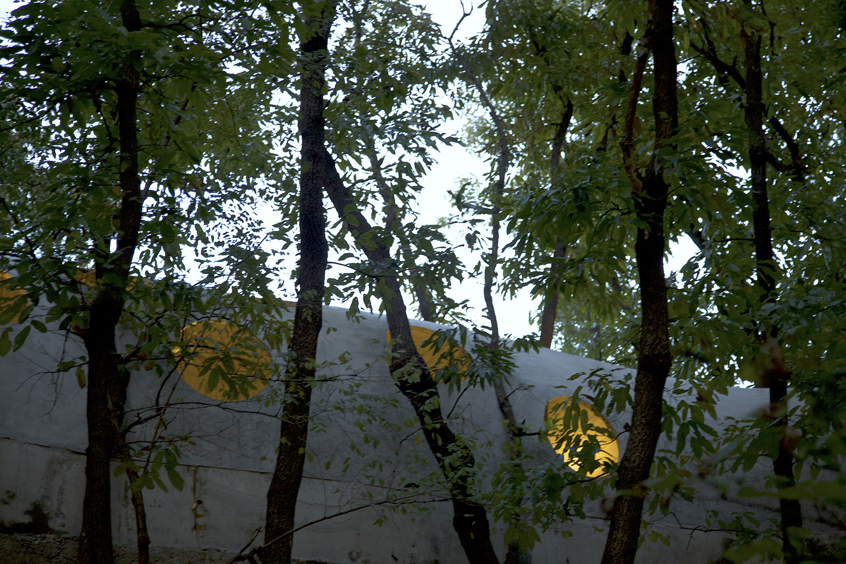 卧虎藏龙美术馆丨中国日照丨孔祥伟工作室-113