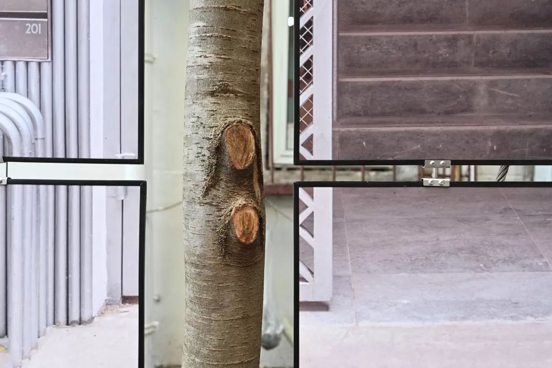 裸筑更新 · 口袋公园-63