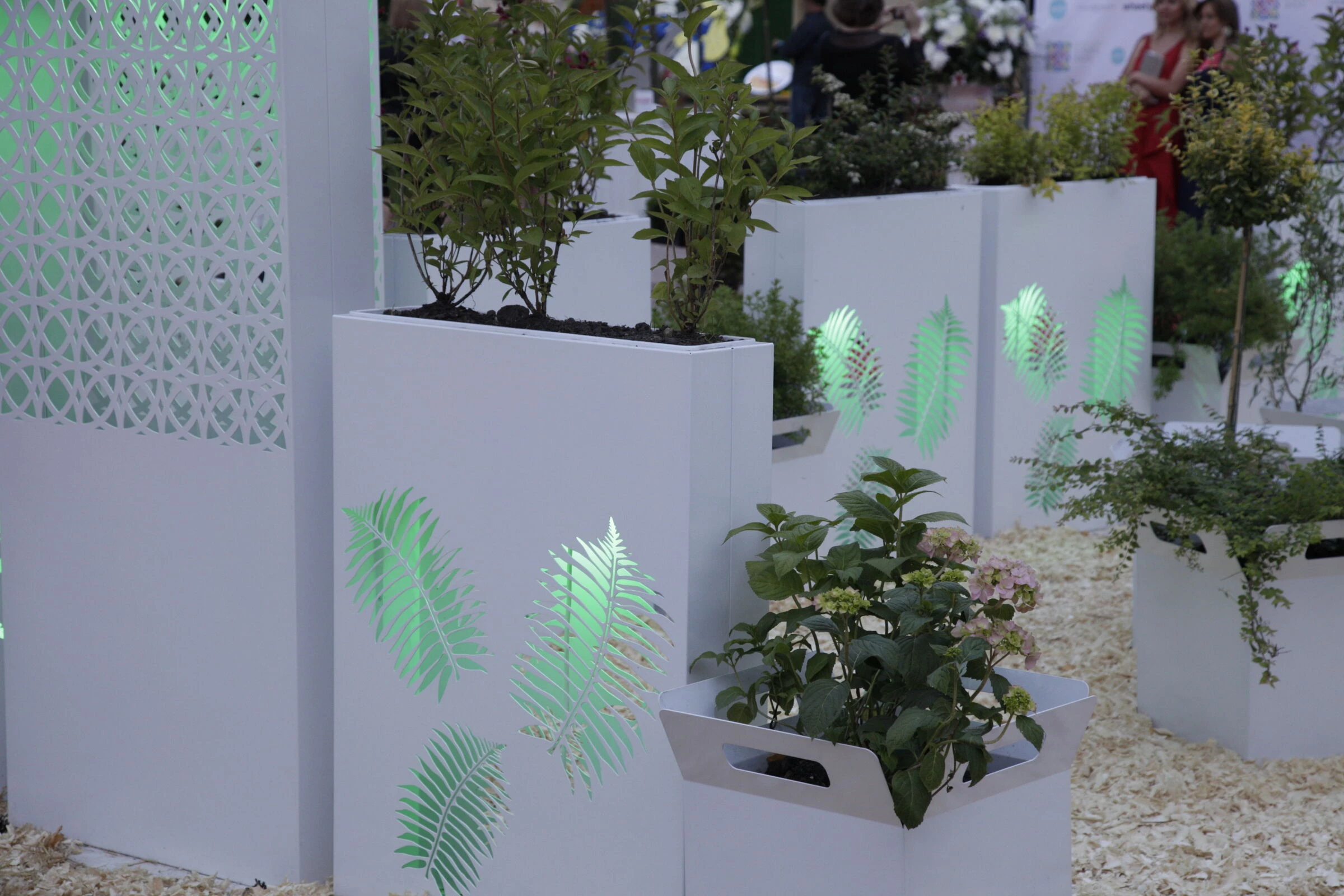 Moscow Flower Show-16