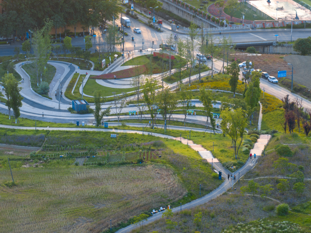 那条飘带 等你触碰:成都大运公园,BOXI柏熙标识丨中国成都丨上海柏熙标识有限公司-47