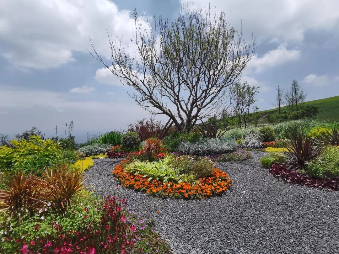 成都云顶牧场丨中国成都丨易兰规划设计院-35