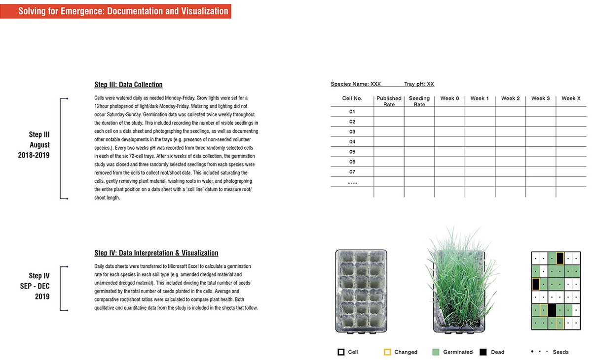 播种特异性 · 新型生态系统的种植材料和方法丨马里丨Mahan Rykiel Associates-8