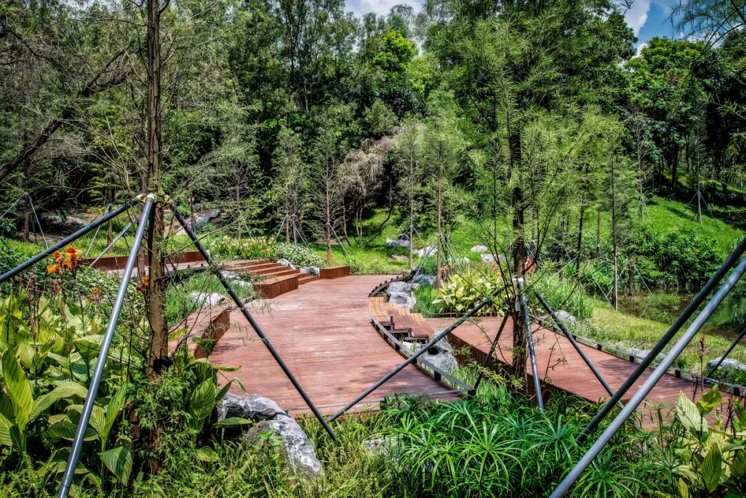 大运智慧公园之湖间|湖上一回首，青山卷白云-33