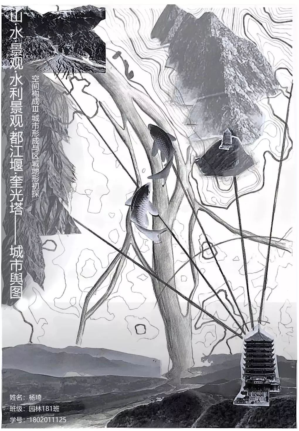 景观的认知与意向 | 地域性景观设计实践-121