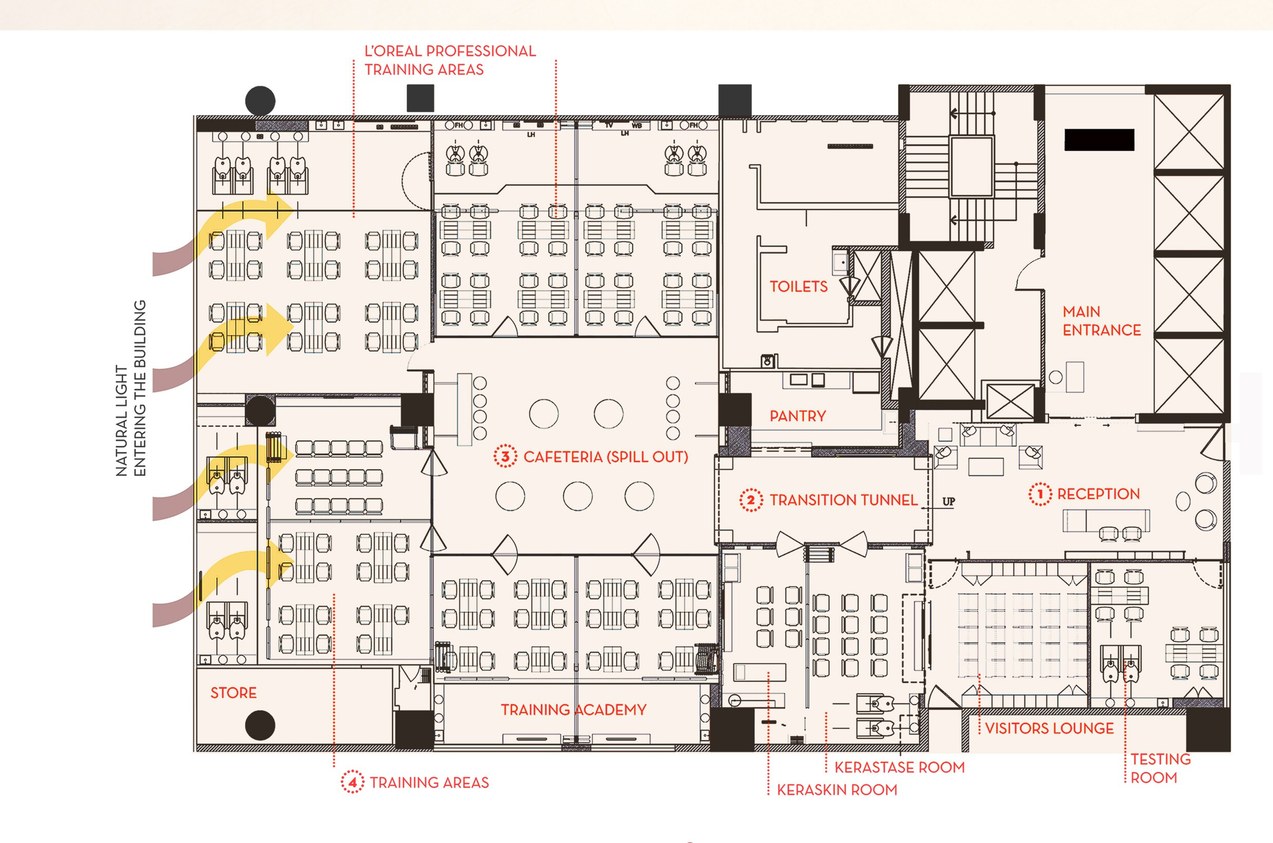 Loreal 学院 · 先进的多功能教学空间-40