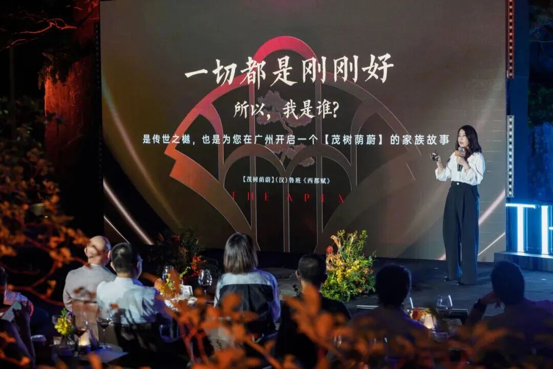 千架无人机点亮琶洲，华樾开启豪宅定制时代-17