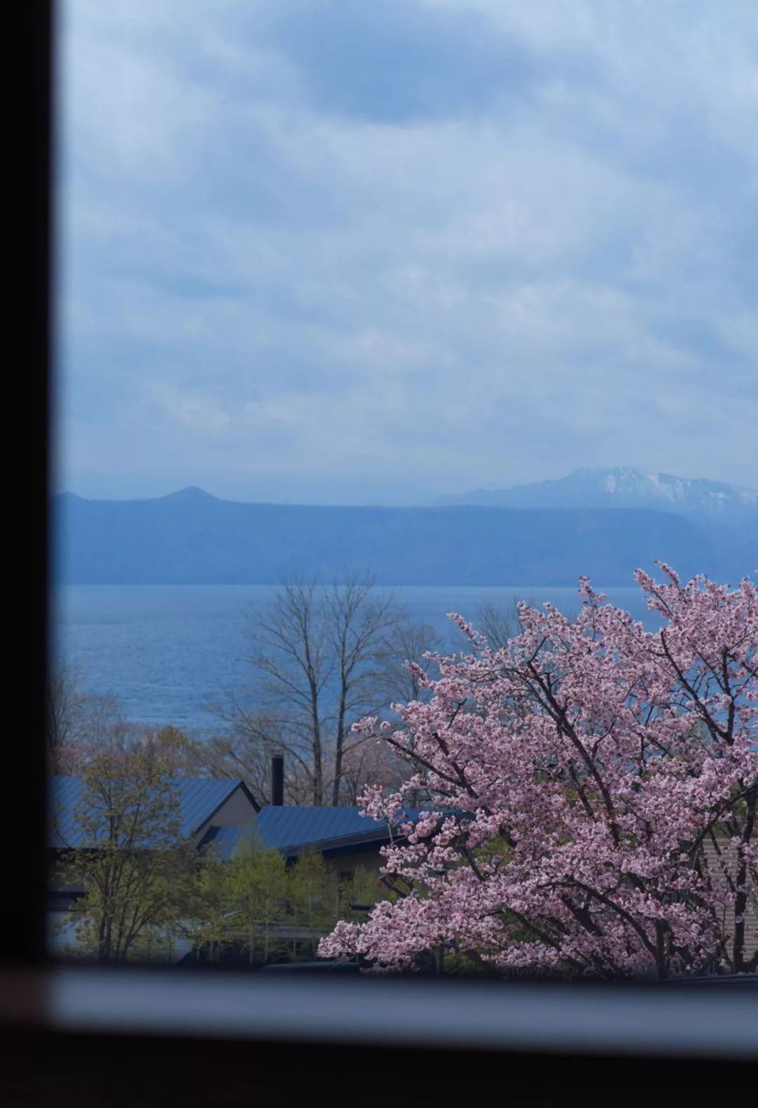 北海道碧之座酒店-3